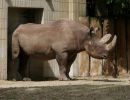 zoo ffm