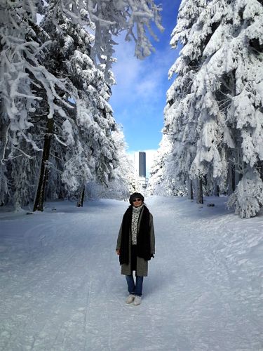 winterwald